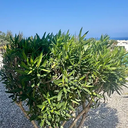 Apartman Sea View Pool 2br Esentepe Kalogrea